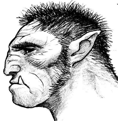 Tête d'Orc - profil